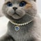 Exquisite Simulated Pearl Adjustable Cat Collar Necklace 1