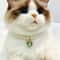 Exquisite Simulated Pearl Adjustable Cat Collar Necklace 3