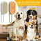 3in1 Electric Steaming Spray Pet Grooming Massage Brush 4