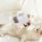 Simulation Bird Chirping Automatic Cat Toy 4