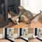 Lockable Magnetic Screen Pet Door 3