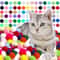 Colorful Plush Cat Teaser Toy Balls Set 0
