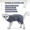 Cotton Pet Surgery Recovery Suit 0