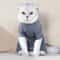 Cotton Pet Surgery Recovery Suit 2