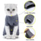 Cotton Pet Surgery Recovery Suit 3