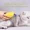 3in1 Electric Steamy Pet Grooming Brush 1