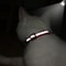 Customized Reflective Pet ID Collar With Nameplate 4