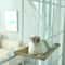 Aerial Hanging Window Cat Hammock 1
