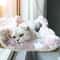 Aerial Hanging Window Cat Hammock 2