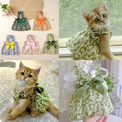 romantic floral pattern pet summer dress