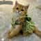 Romantic Floral Pattern Pet Summer Dress 3