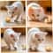 Interactive SelfMoving Electric Hamster Cat Toy 4