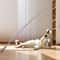 110cm Telescopic Carbon Fiber Cat Teaser Rod 3