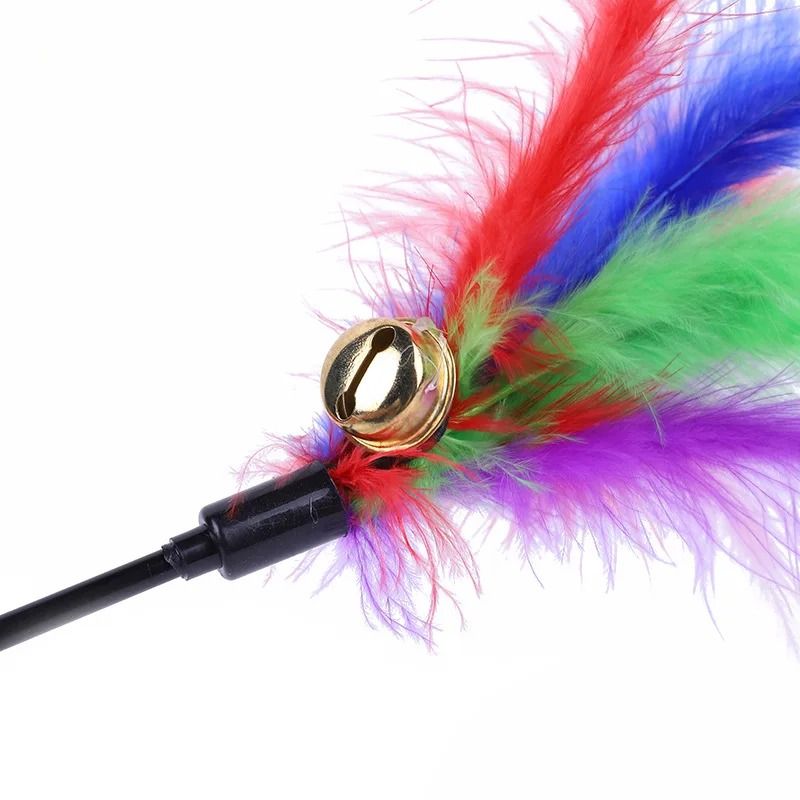 5Piece Interactive Cat Teaser Wand Set 1