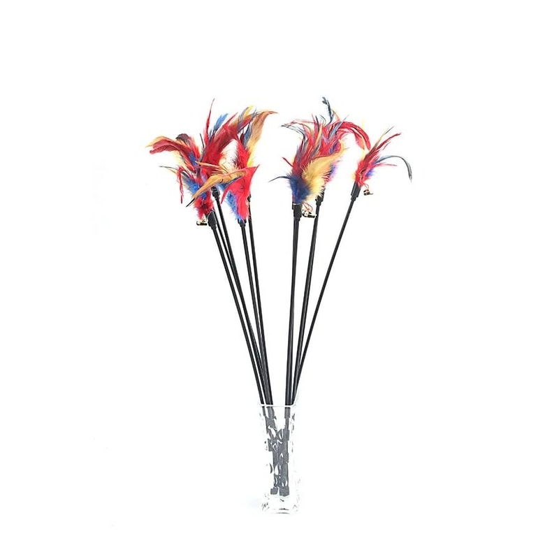 5Piece Interactive Cat Teaser Wand Set 7