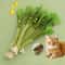 Natural Catnip Molar Stick Teaser Toy With Bell 0