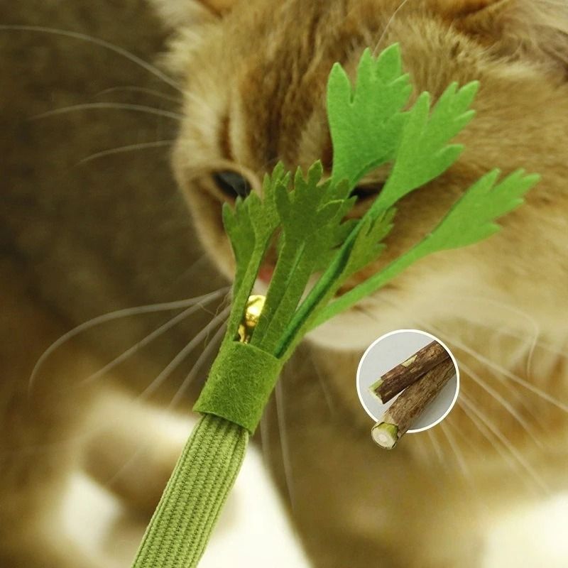 Natural Catnip Molar Stick Teaser Toy With Bell 1