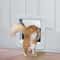 Electronic Induction Smart Microchip Pet Door 2