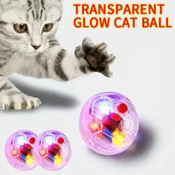 3-piece motion-activated flash cat ball toy set