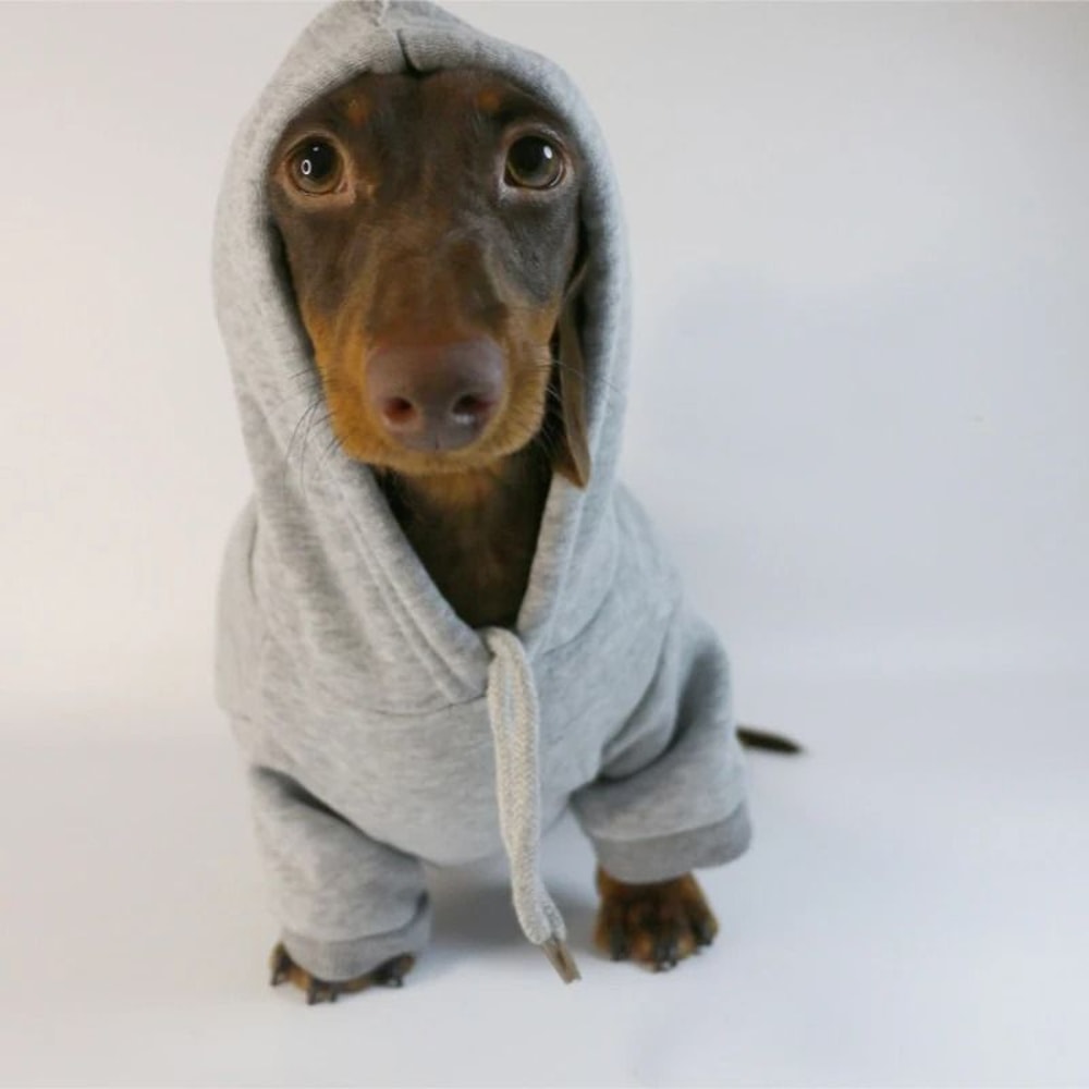 Cool Dog Sausage Pullover Hoodie 1