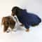 Cool Dog Sausage Pullover Hoodie 3