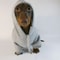 Cool Dog Sausage Pullover Hoodie 6