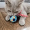 Interactive Plush Rainbow Bell Ball Pet Toy Set 3
