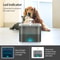 Automatic Pet Water Fountain With LED Lighting 3
