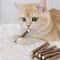 Natural Silvervine Sticks Cat Dental Chew Toy Set 1