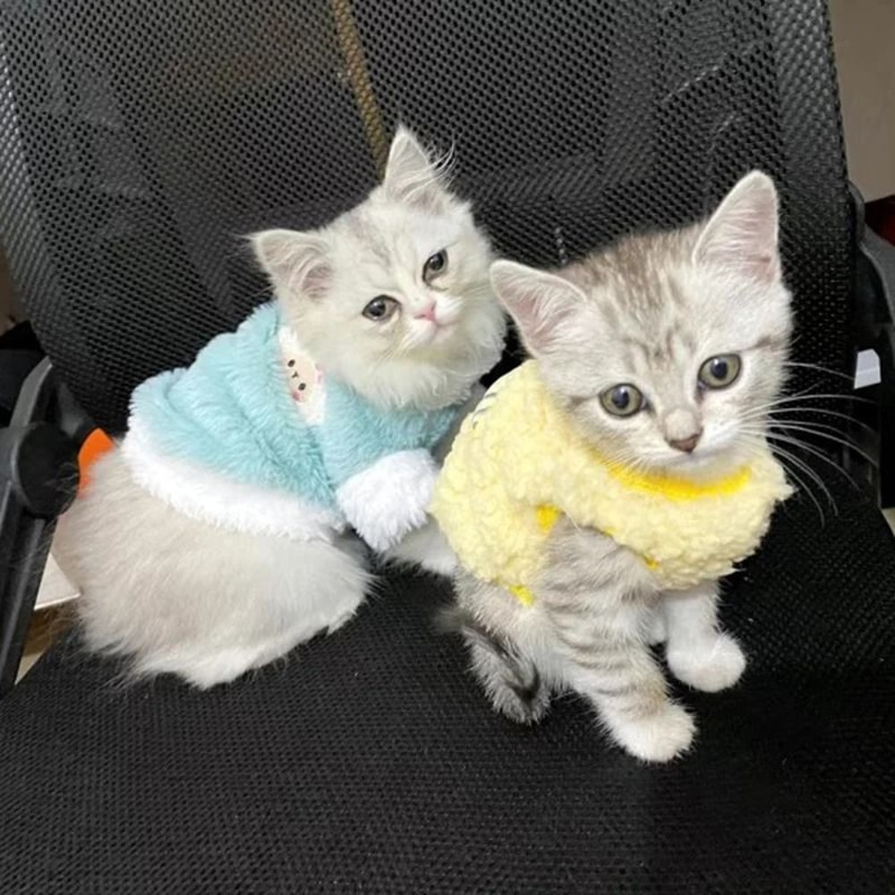 Newborn Kitten Velvet Winter Warm Pet Sweater 2