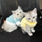 Newborn Kitten Velvet Winter Warm Pet Sweater 2