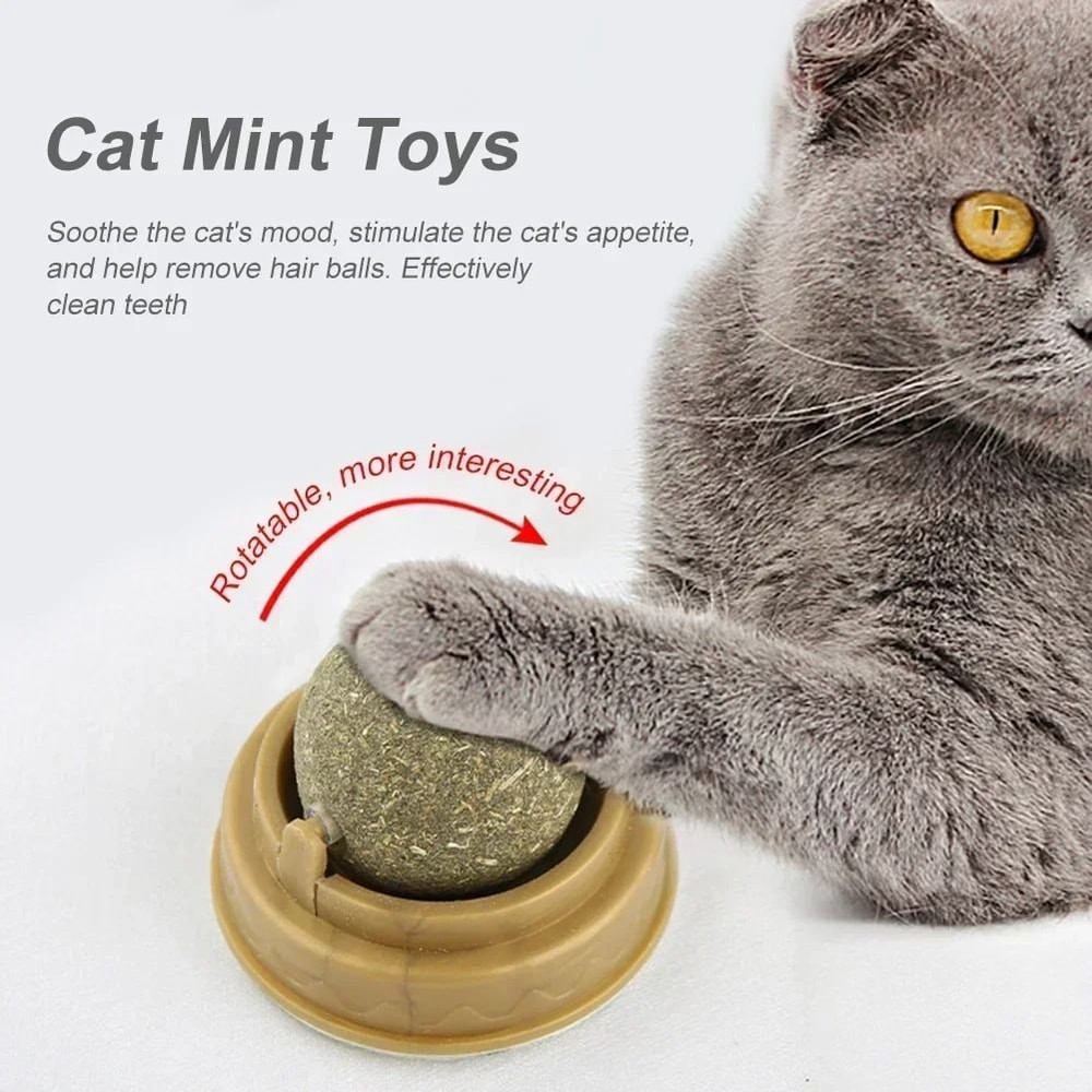 Edible Catnip Ball Rotatable Self Adhesive Wall Treat Toy Set 2