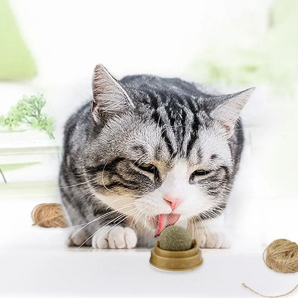Edible Catnip Ball Rotatable Self Adhesive Wall Treat Toy Set 3