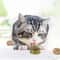 Edible Catnip Ball Rotatable Self Adhesive Wall Treat Toy Set 3