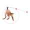 FourSection Telescopic Carbon Fiber Cat Wand Fishing Rod Toy 1