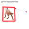 FourSection Telescopic Carbon Fiber Cat Wand Fishing Rod Toy 7