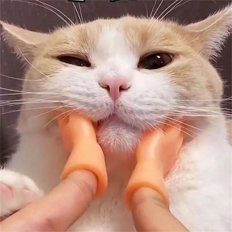 Mini Hands Model Silicone Finger Gloves Cat Massage Tool 1