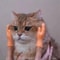 Mini Hands Model Silicone Finger Gloves Cat Massage Tool 2