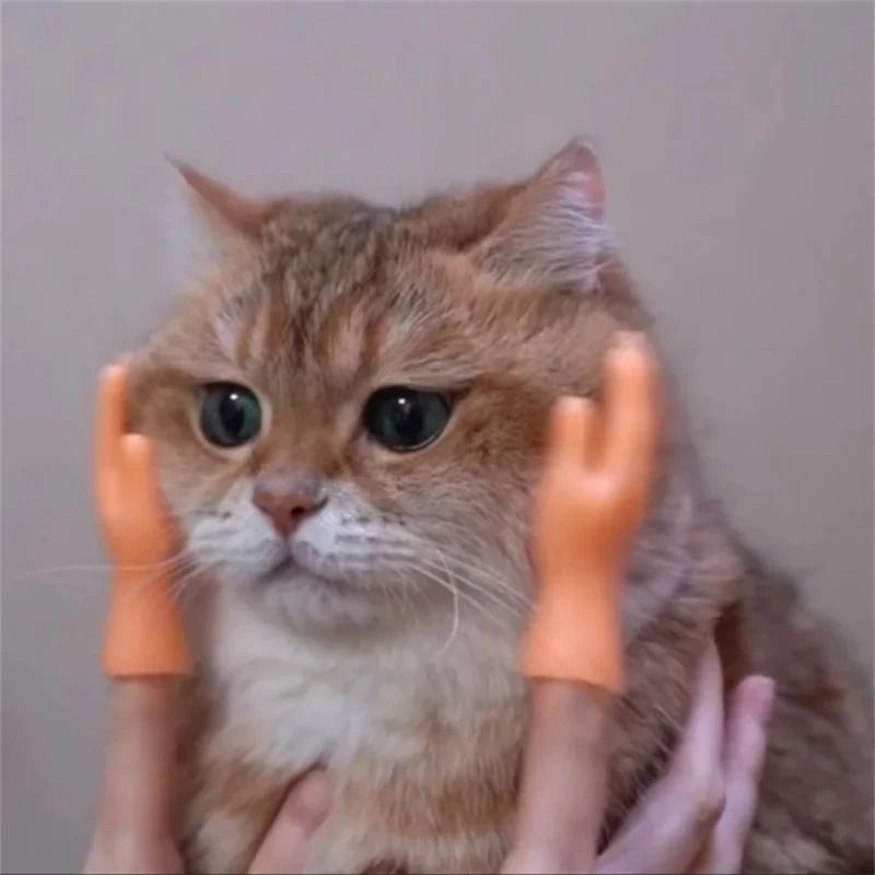 Mini Hands Model Silicone Finger Gloves Cat Massage Tool 2