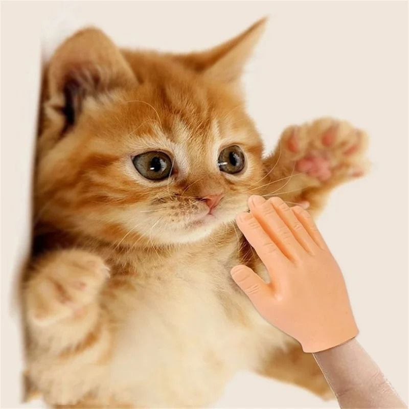 Mini Hands Model Silicone Finger Gloves Cat Massage Tool 3