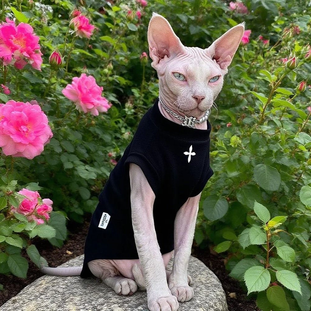 Winter Black Cotton TShirt Pullover And Pajamas For Sphynx Cats 0