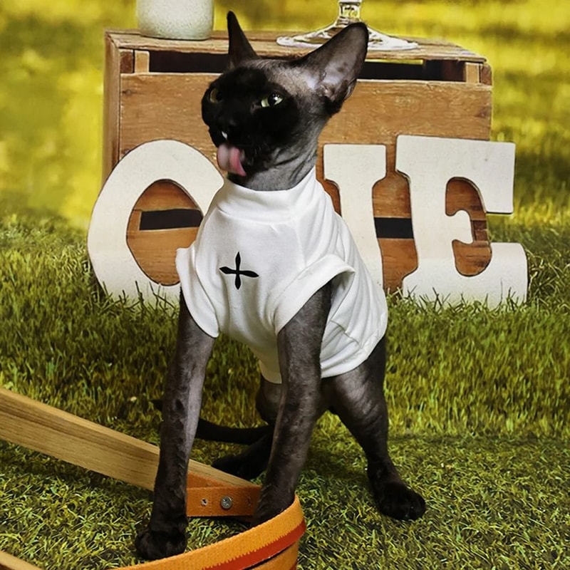 Winter Black Cotton TShirt Pullover And Pajamas For Sphynx Cats 2