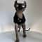 Winter Black Cotton TShirt Pullover And Pajamas For Sphynx Cats 3