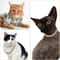 Luxury Cuban Link Cat Necklace Jewelry Rhinestone Collar 4