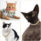 Luxury Cuban Link Cat Necklace Jewelry Rhinestone Collar 4