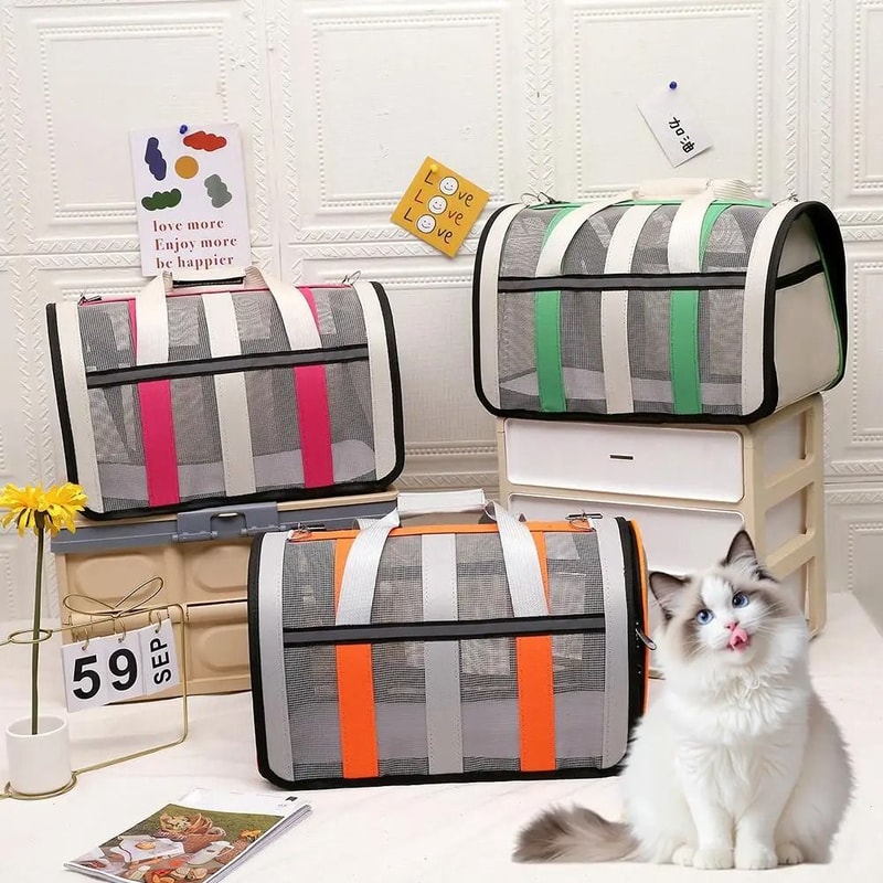 Portable Breathable Foldable Pet Outing Bag 1