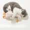 Interactive Plush Squeak And Chew Pet Toy 0