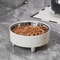Elevated Stainless Steel Water Ripple Pet Bowl 1