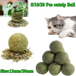 natural catnip licker ball toy set for cats