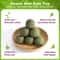 Natural Catnip Licker Ball Toy Set For Cats 1